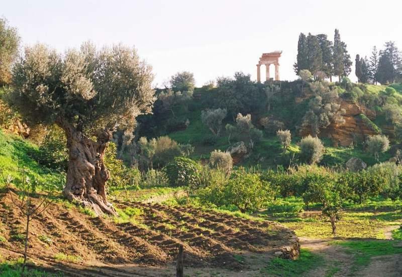 Apartamento Dimora Dei Greci Agrigento Exterior foto